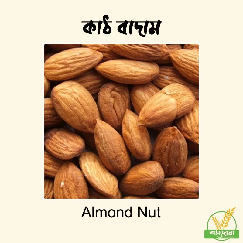 প্রিমিয়াম কাঠ বাদাম || Premium Almond Nut