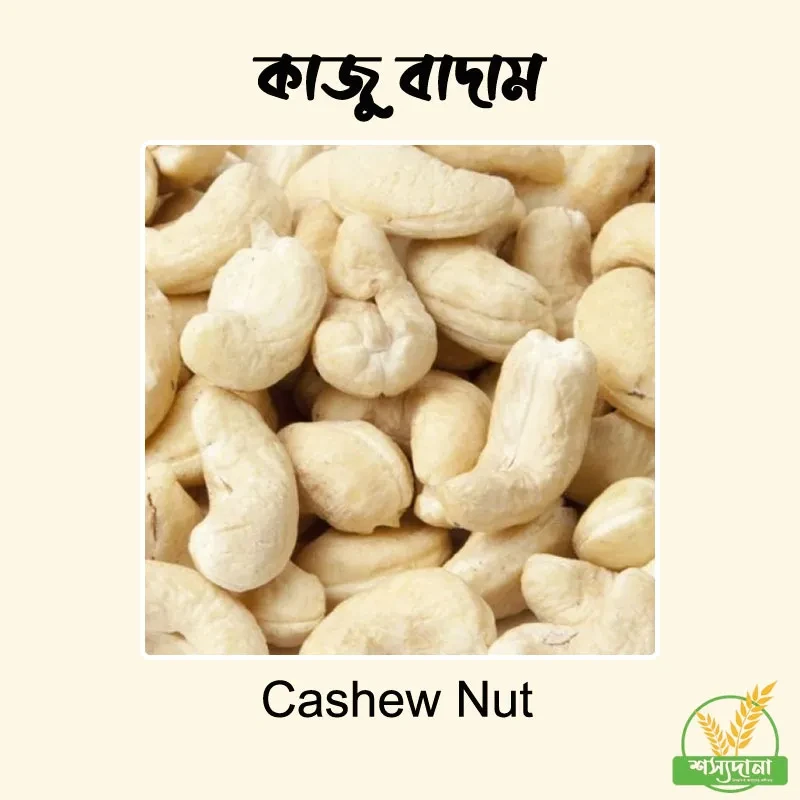প্রিমিয়াম কাজু বাদাম || Premium Cashew Nut