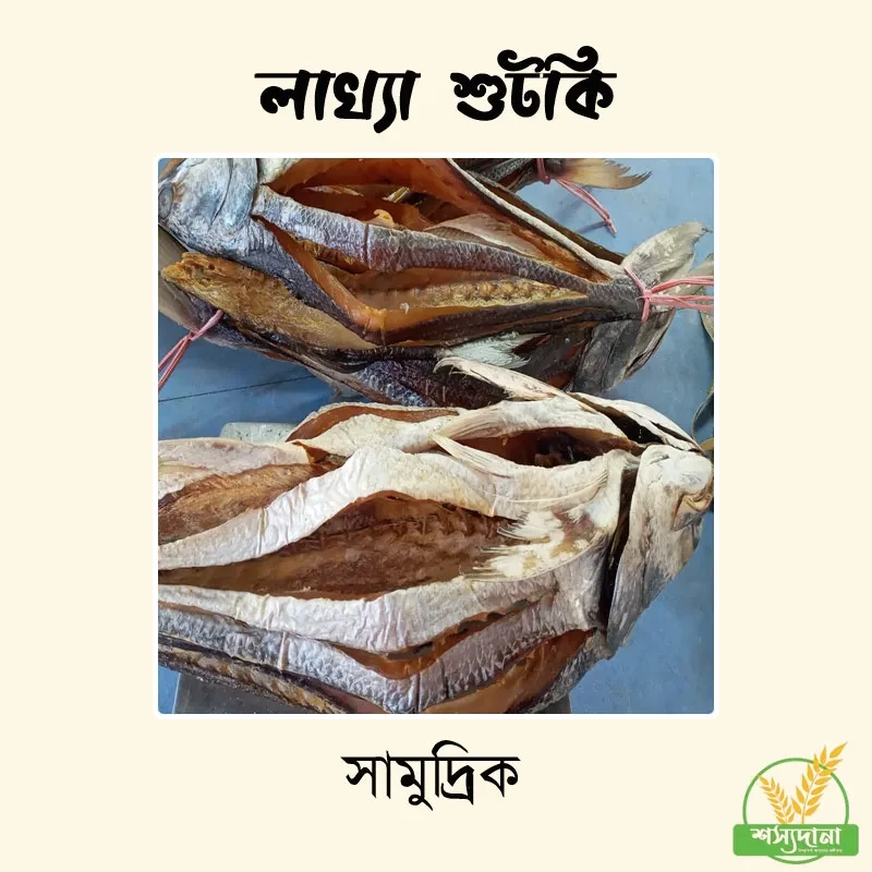লাক্ষা শুটকি || Lakkha Fish Shutki