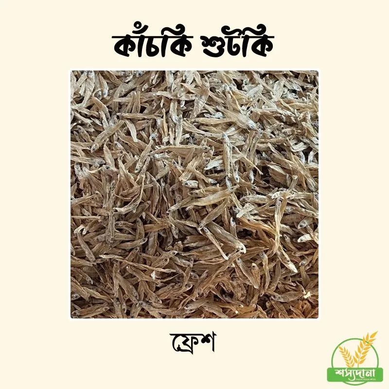 কাঁচকি শুটকি || Kanchki Fish Shutki