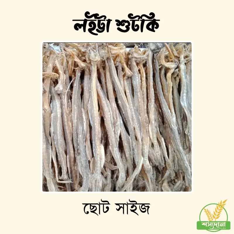 লইট্টা শুটকি ছোট || Loitta Fish Shutki (Small Size)