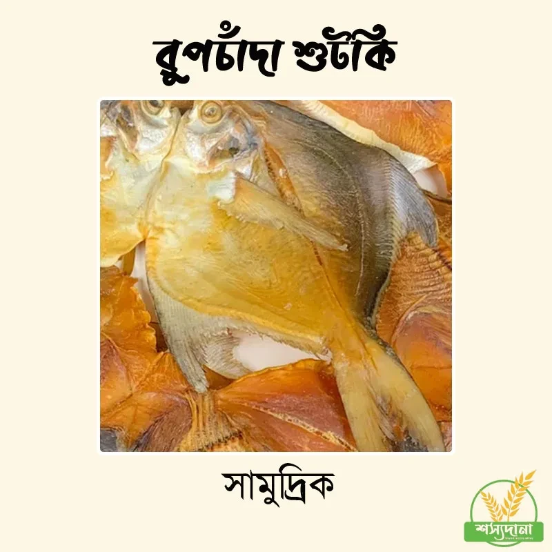 রূপচাঁদা শুটকি || Rupchanda Fish Shutki